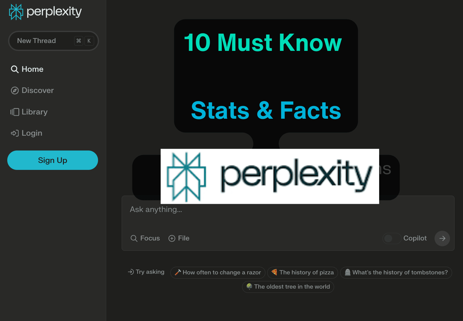 10 Must-Know Stats and Facts About Perplexity AI
